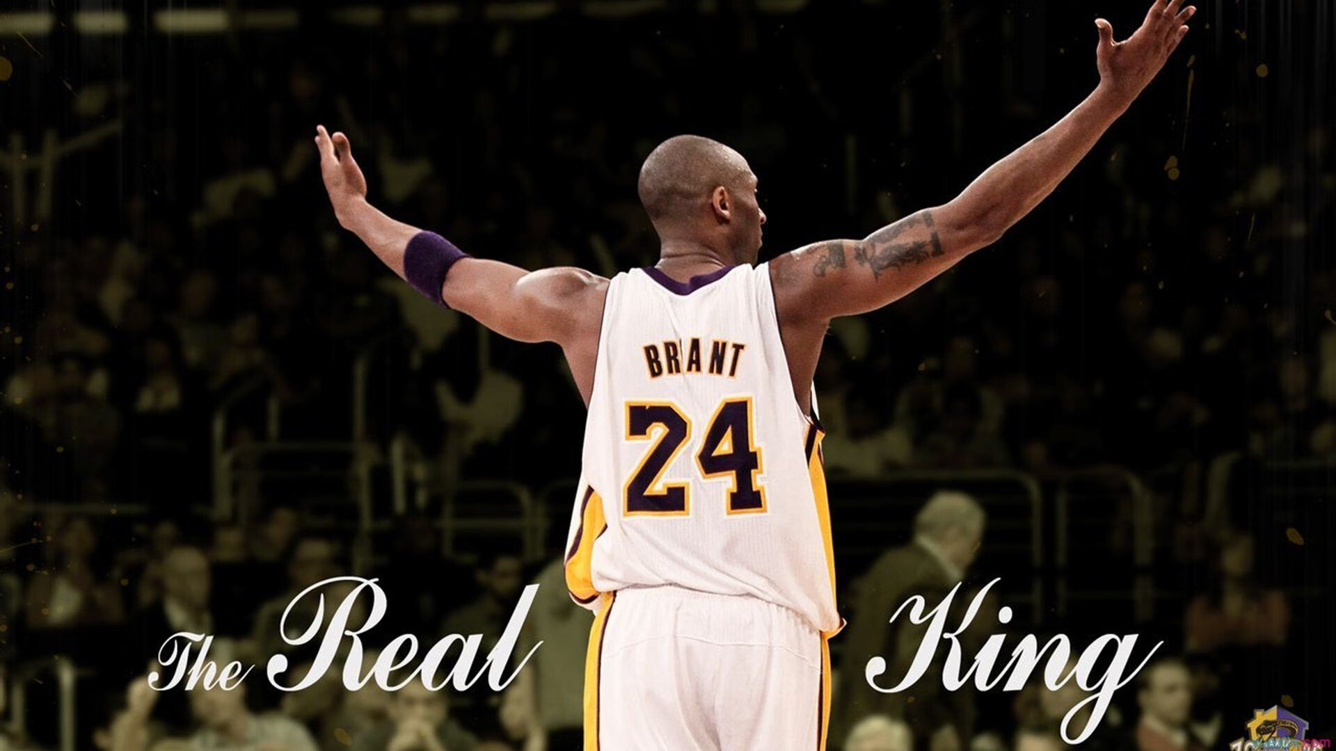 从红土到硬地，阿尔卡拉斯年终总决赛横扫式胜利，蒙特卡洛阴影下的王者进化论